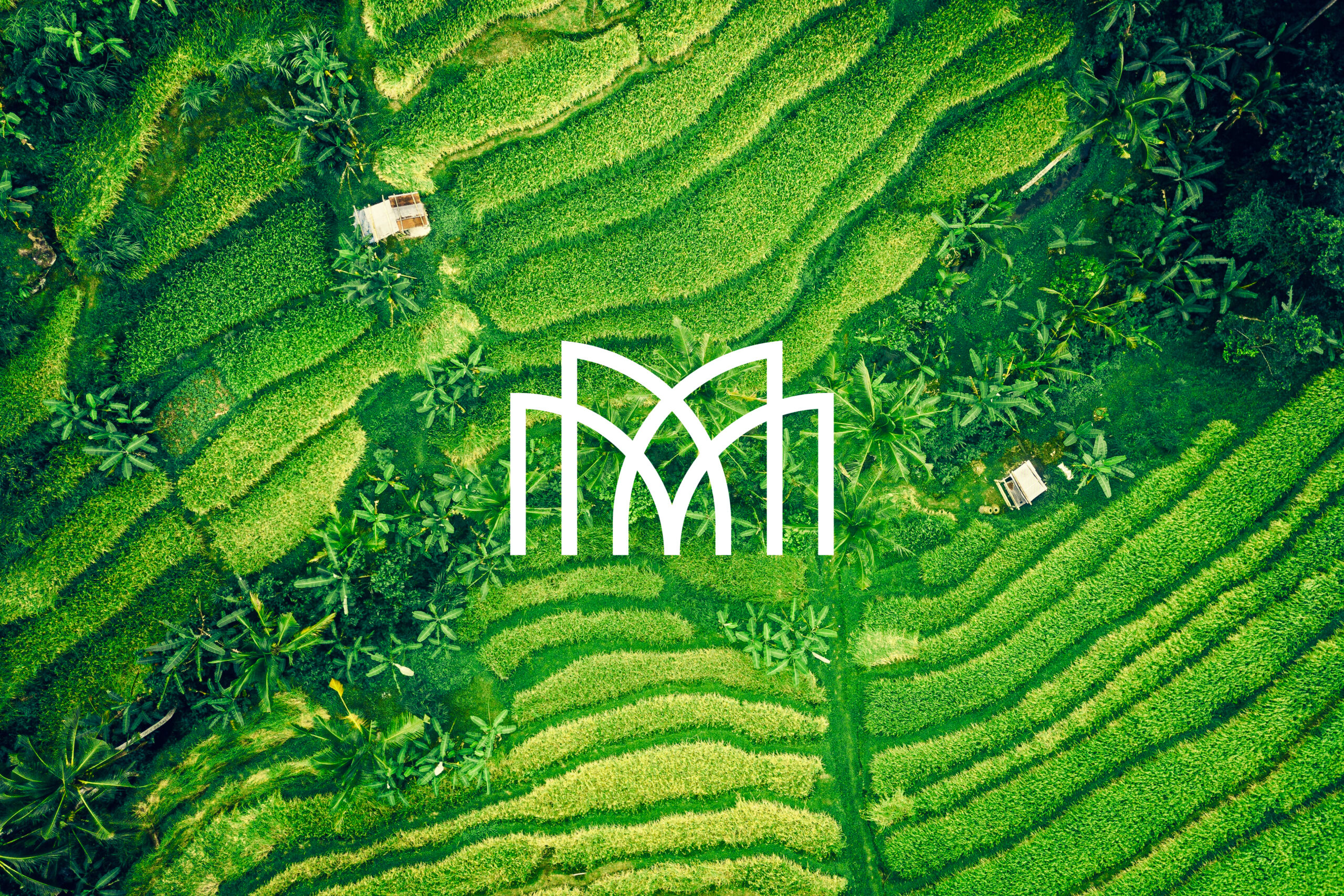 Moray_Gallery_01_A