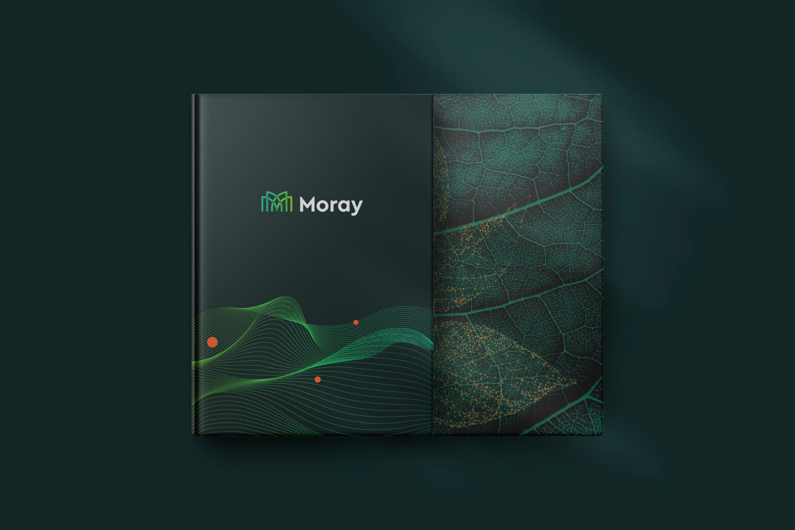 Moray_Gallery_01_E