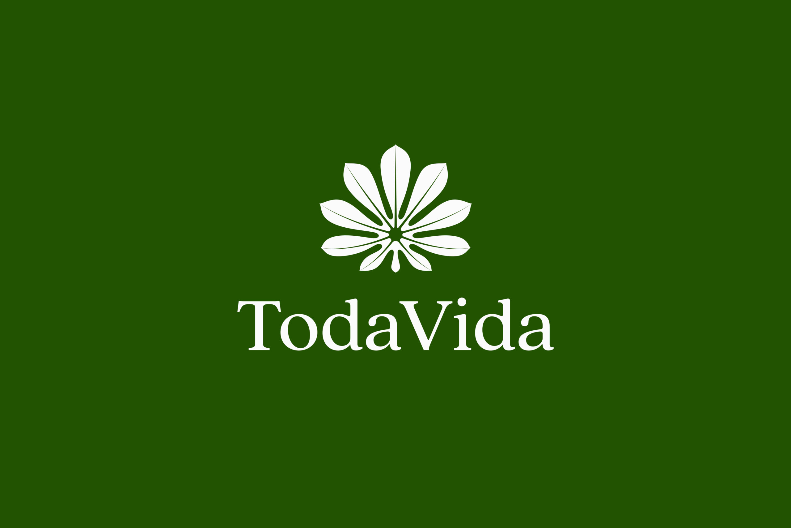 TV_Logo_Redesign_04